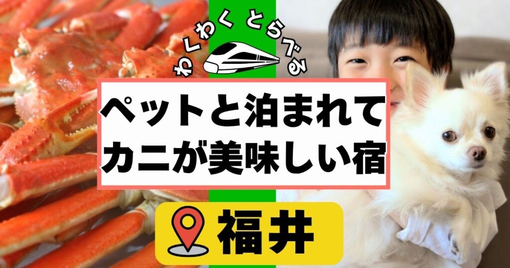 ペット,犬と泊まれる宿でカニづくし福井6選!カニ食べ放題や温泉宿も教えます