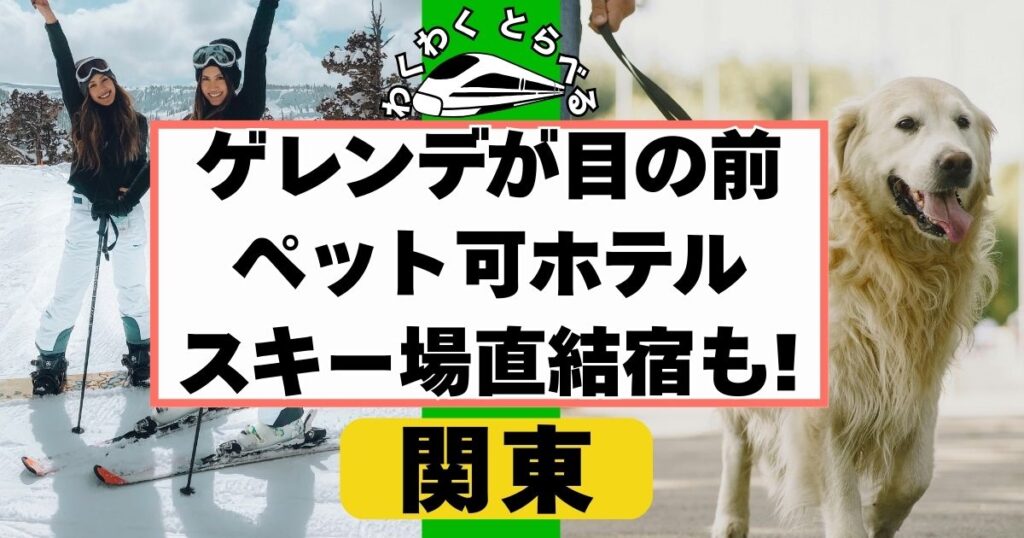 ゲレンデが目の前のペット可ホテルin関東,新潟,長野６選!スキー場直結のホテルも!