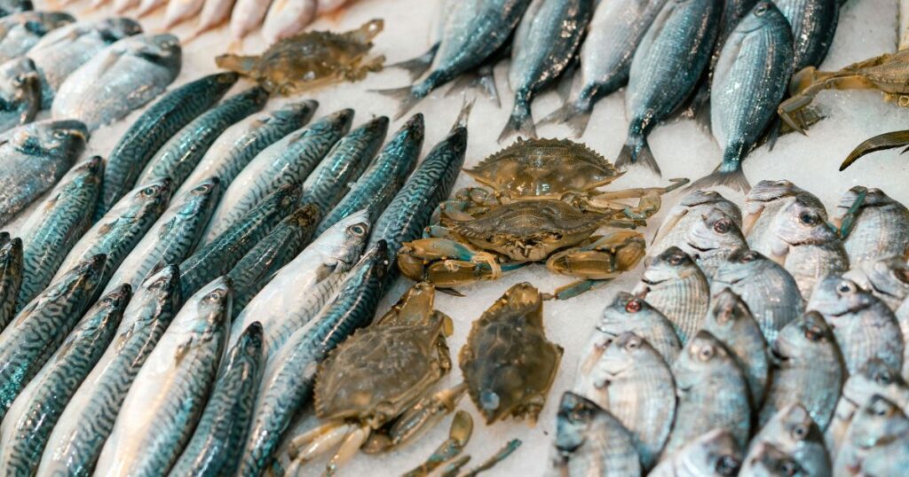 高知では魚屋さんなどで良い魚が手に入る